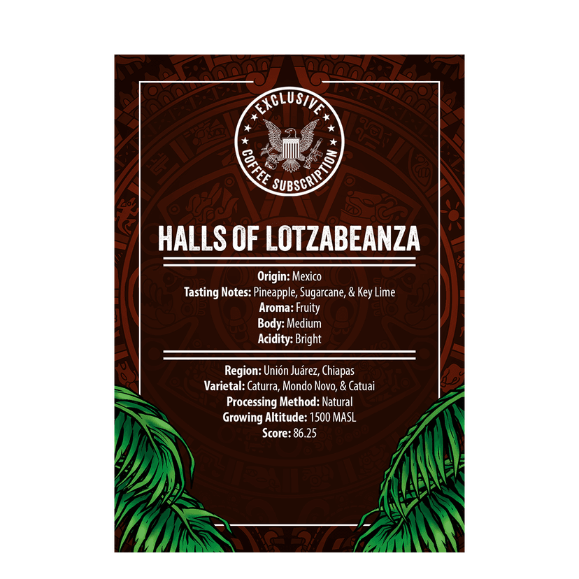 Halls of Lotzabeanza Roast