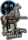 Power Llama 2024 Ecs Sticker