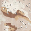 Chocolate Chip Camo