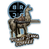Power Llama 2024 Ecs Sticker